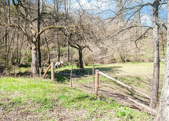 Holiday home Cozy Country Stay, Stoumont