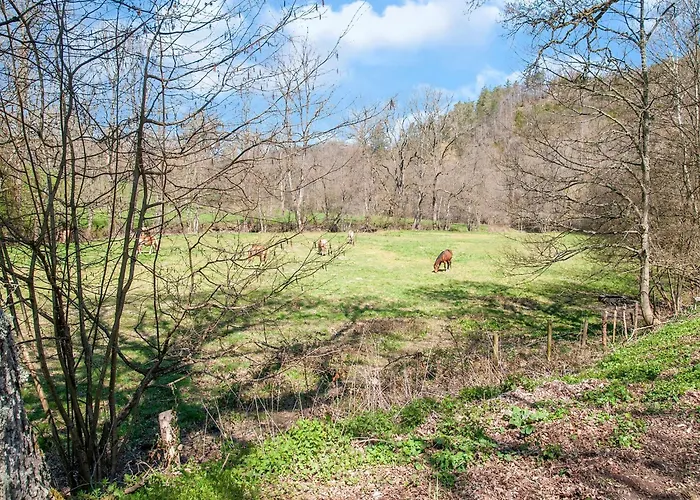 Cozy Country Stay, Stoumont